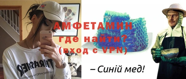индика Няндома