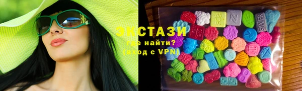 индика Няндома