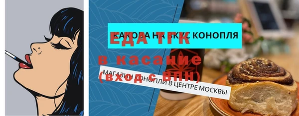 индика Няндома