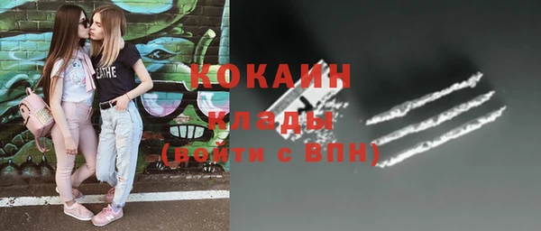 сатива Нягань
