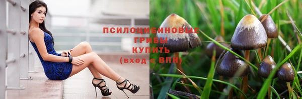 индика Няндома