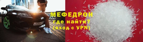индика Няндома