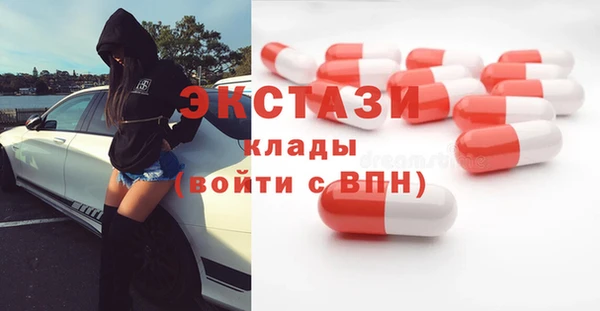 индика Няндома