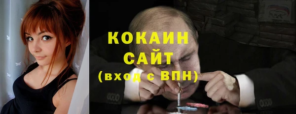 индика Няндома