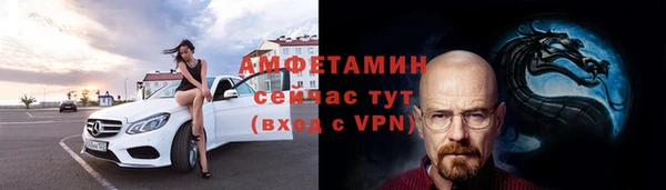 индика Няндома