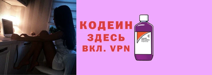 индика Няндома