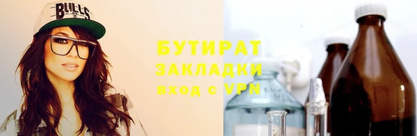 индика Няндома