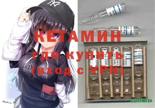 индика Няндома