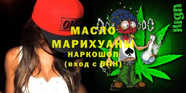 индика Няндома