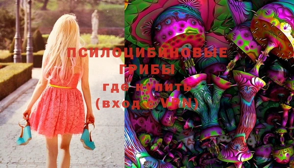 прущие грибы Нязепетровск