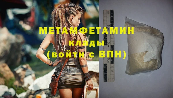 индика Няндома