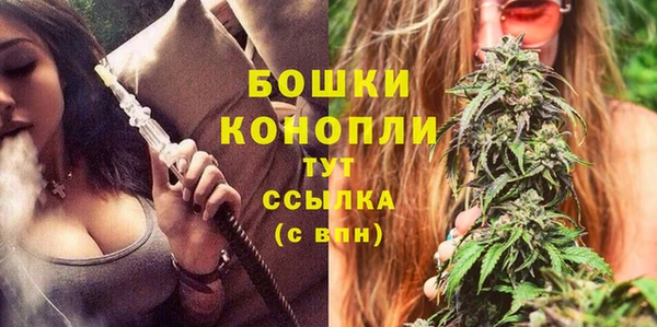 прущие грибы Нязепетровск