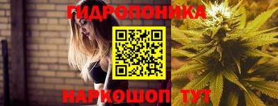прущие крисы Берёзовский