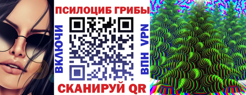 Псилоцибиновые грибы прущие грибы  купить наркотик  Владимир 