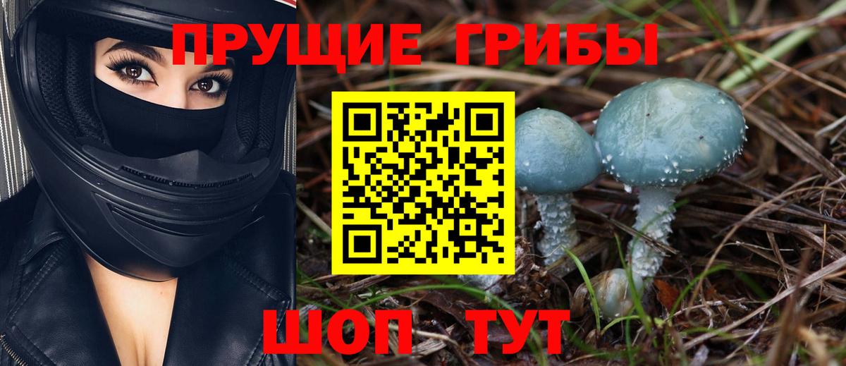 Псилоцибиновые грибы Magic Shrooms Владимир