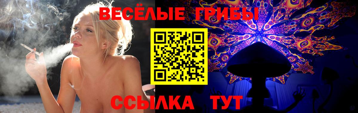 Псилоцибиновые грибы мицелий  Вход с VPN  Владимир 